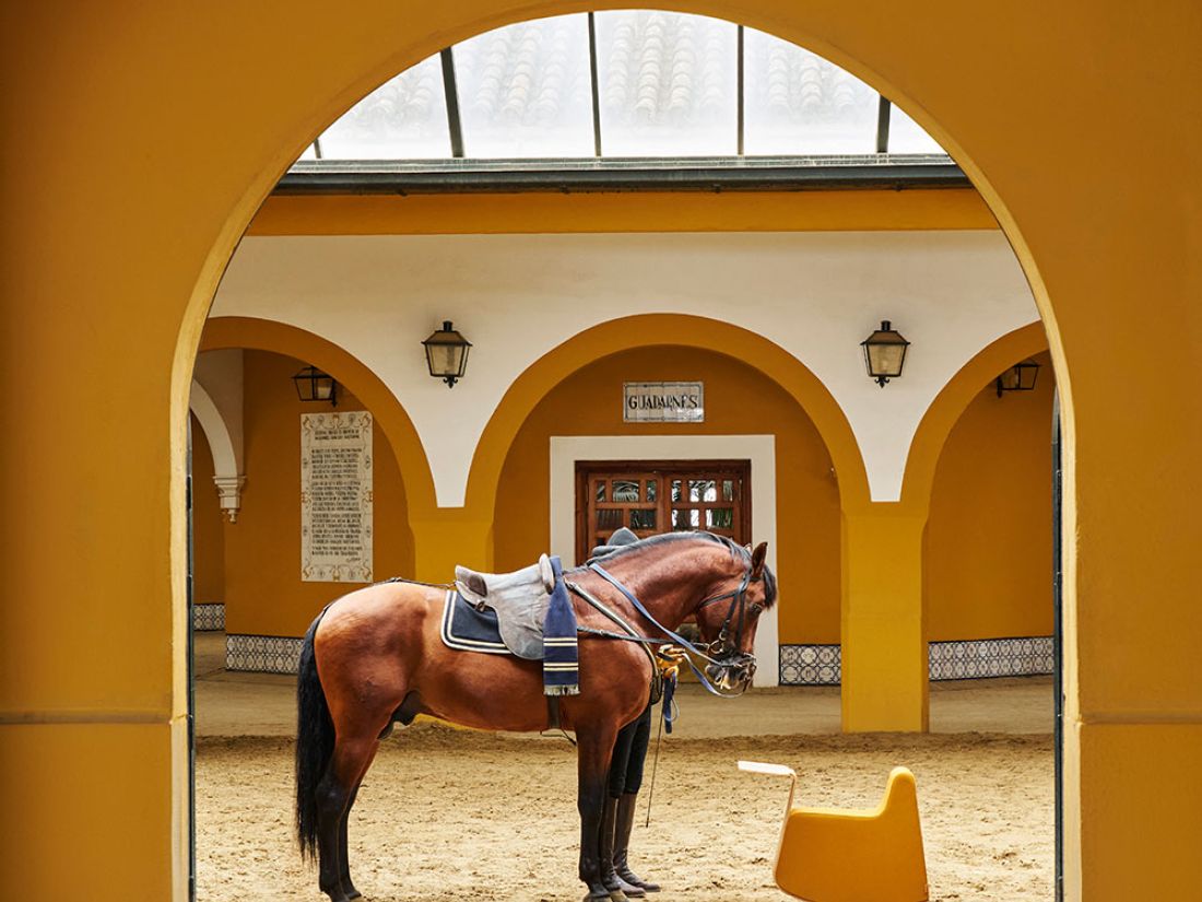 Tabouret selle de cheval PLATERO Tabouret selle de cheval Siège selle de cheval Tabouret ergonomique selle Tabouret selle de cheval pour bureau Tabouret selle de cheval professionnel Siège ergonomique selle Tabouret selle de cheval réglable Tabouret selle pour posture Siège selle ergonomique Tabouret médical selle de cheval Tabouret de travail selle Tabouret selle de cheval salon de coiffure
